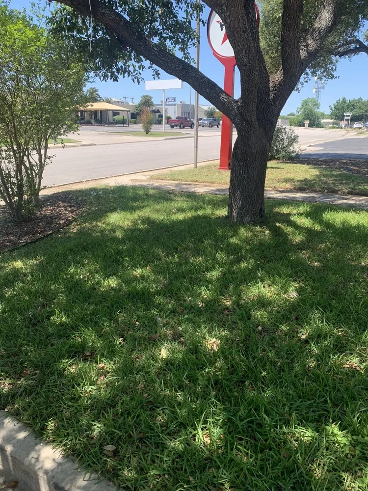 Top-rated yard maintenance in San Antonio, TX by Clean Air Lawn Care - San Antonio