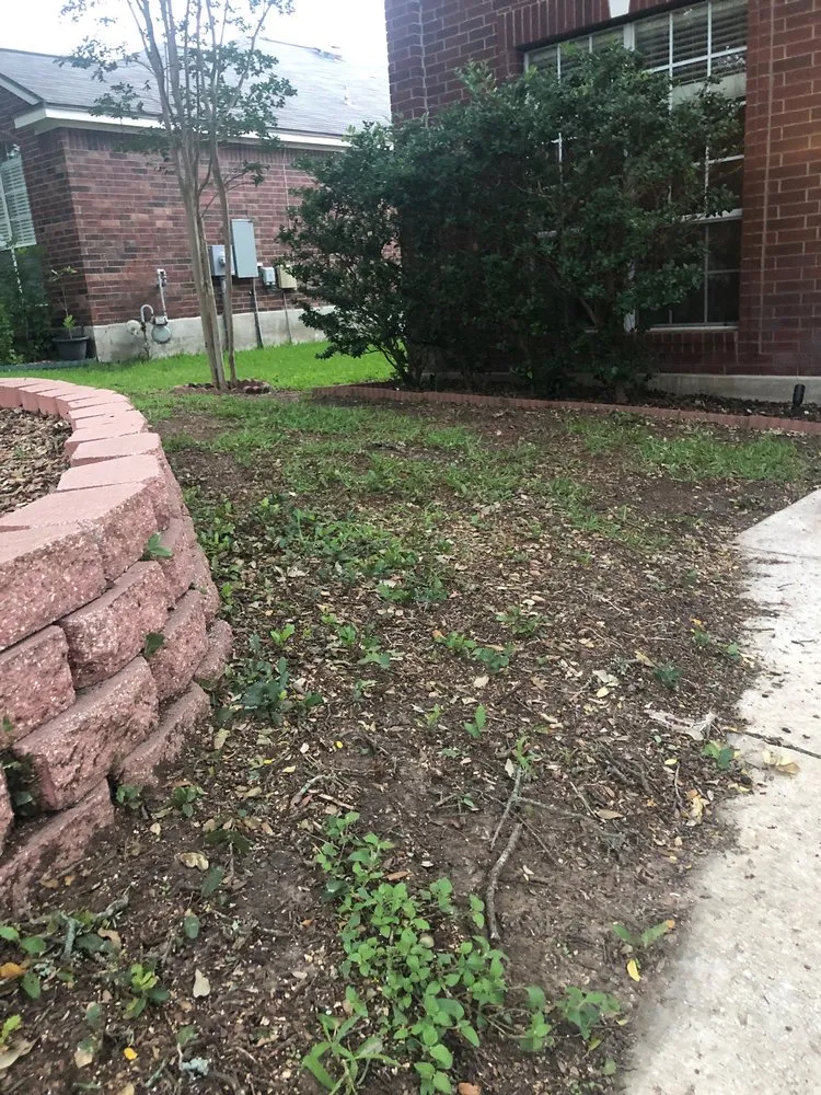 Professional garden landscaping for year-round maintenance across San Antonio, TX - Clean Air Lawn Care - San Antonio