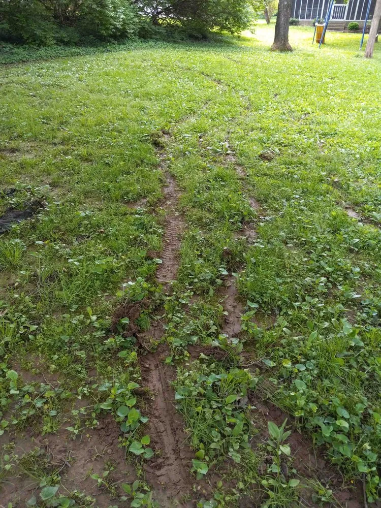 Local landscape design in Louisville, KY - Clean Air Lawn Care- Louisville