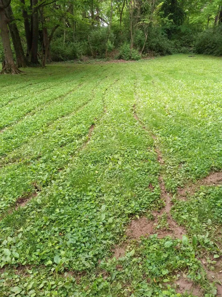 Custom landscaping services with custom design in Louisville, KY by Clean Air Lawn Care- Louisville