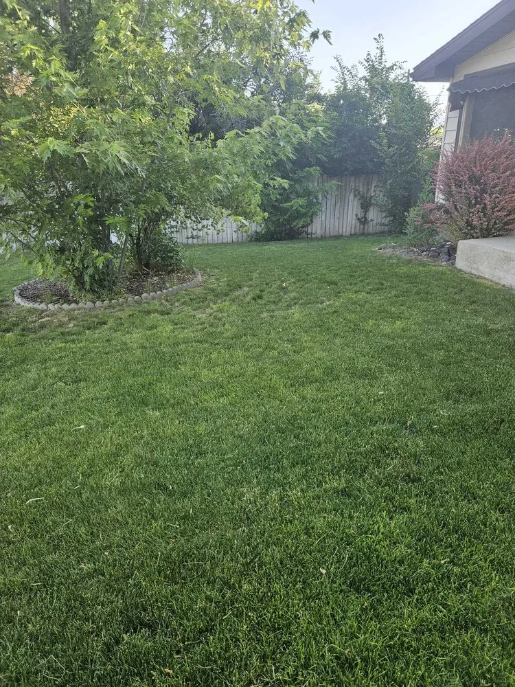 Local landscape design near you in Louisville, KY by Clean Air Lawn Care- Louisville