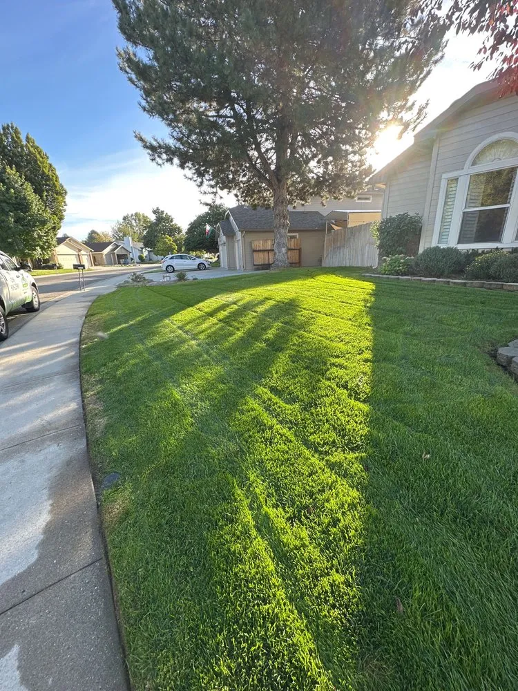 Local lawn mowing service in Louisville, KY by Clean Air Lawn Care- Louisville
