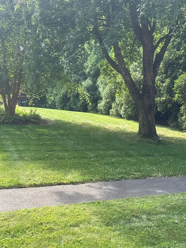 Professional landscaping services for year-round maintenance in Louisville, KY by Clean Air Lawn Care- Louisville
