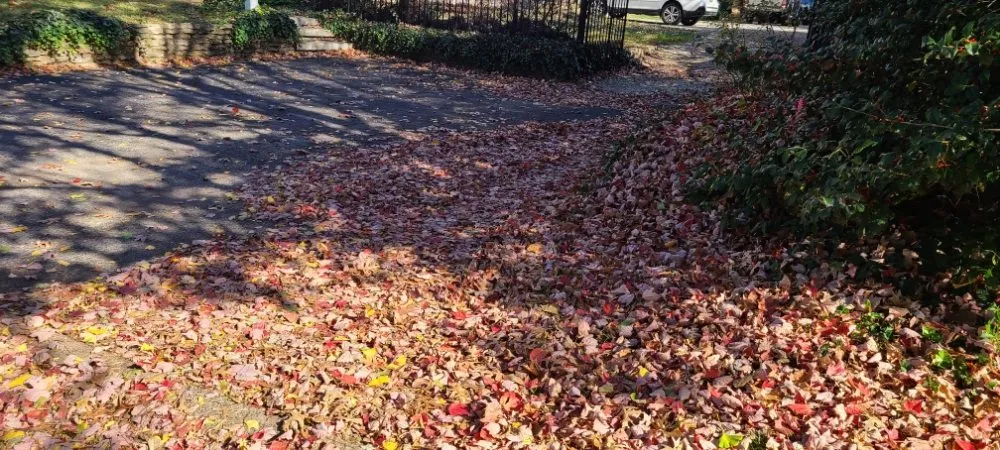 Top-rated yard maintenance for outdoor upgrades in Louisville, KY by Clean Air Lawn Care- Louisville