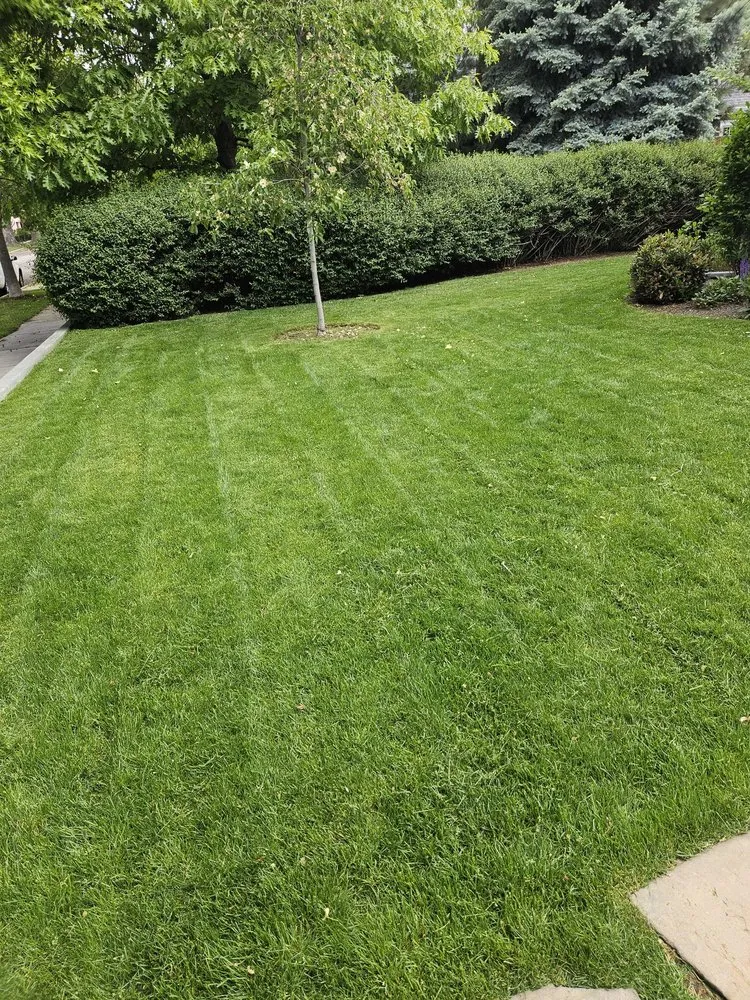 Local landscape design in Louisville, KY - Clean Air Lawn Care- Louisville