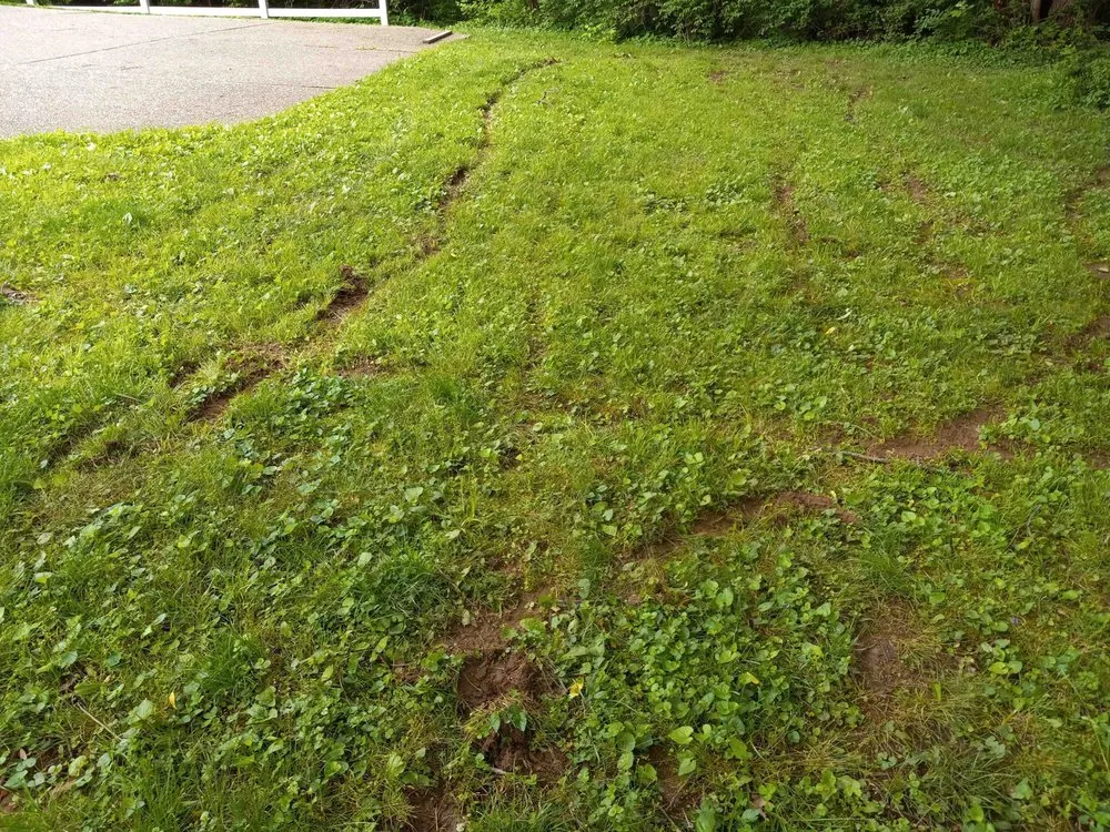 Affordable yard cleanup service for year-round maintenance across Louisville, KY - Clean Air Lawn Care- Louisville