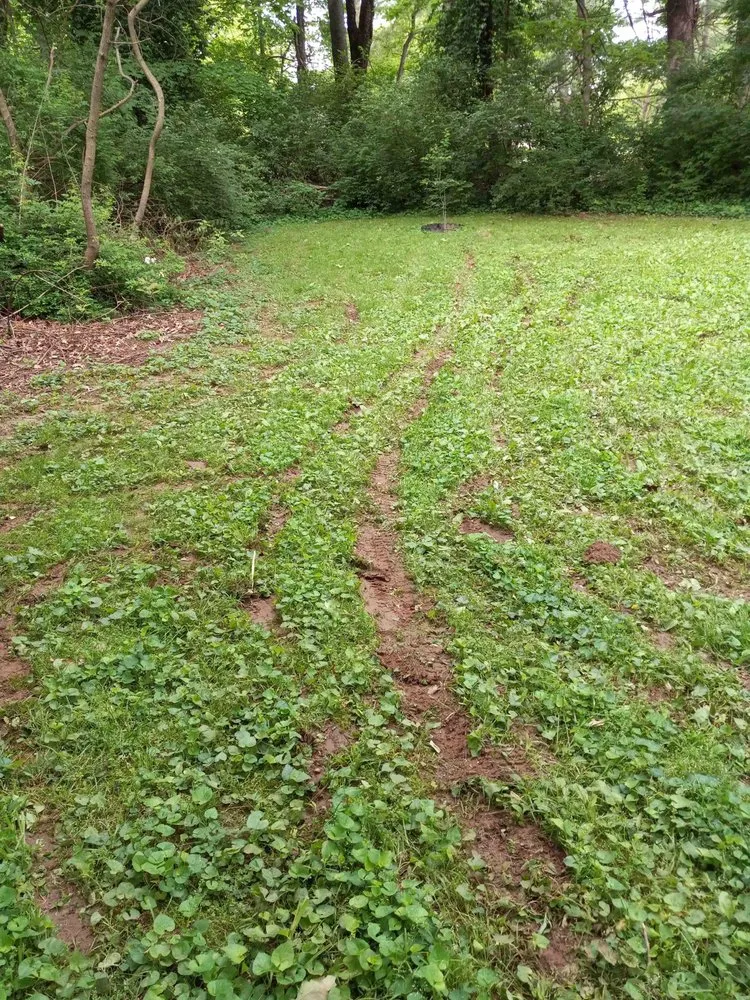 Affordable landscape design in Louisville, KY - Clean Air Lawn Care- Louisville