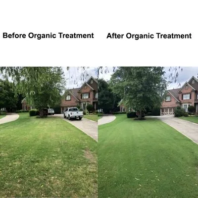 Clean Air Lawn Care Atlanta Logo