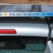 Custom yard cleanup service in Boise, ID by Clean Air Lawn Care Boise