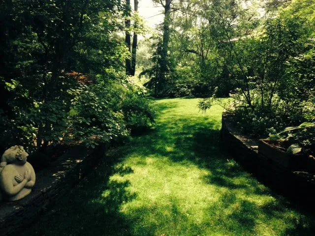 Affordable lawn care service experts serving Westford, MA - Clean Air Lawn Care Boston
