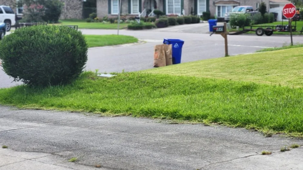 Trusted landscape installation in Charleston, SC by Clean Air Lawn Care