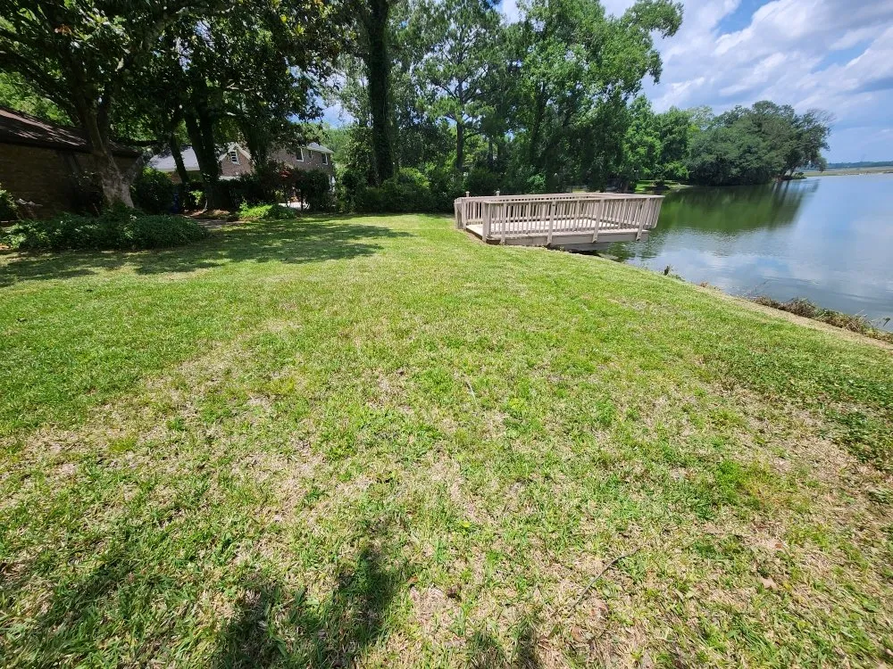 Trusted outdoor landscaping experts serving Charleston, SC - Clean Air Lawn Care