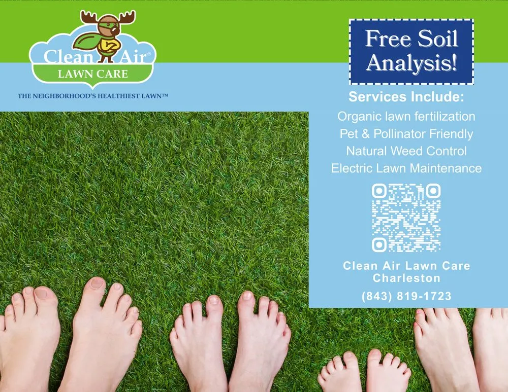 Trusted yard maintenance in Charleston, SC - Clean Air Lawn Care