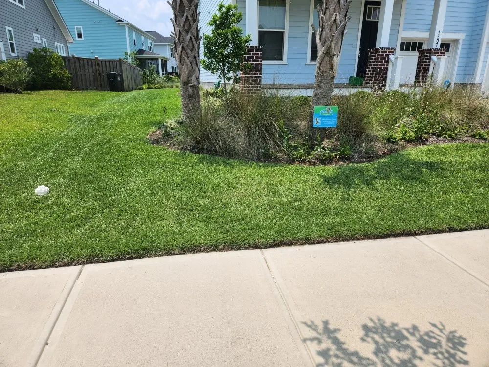 Expert lawn care service experts serving Charleston, SC - Clean Air Lawn Care