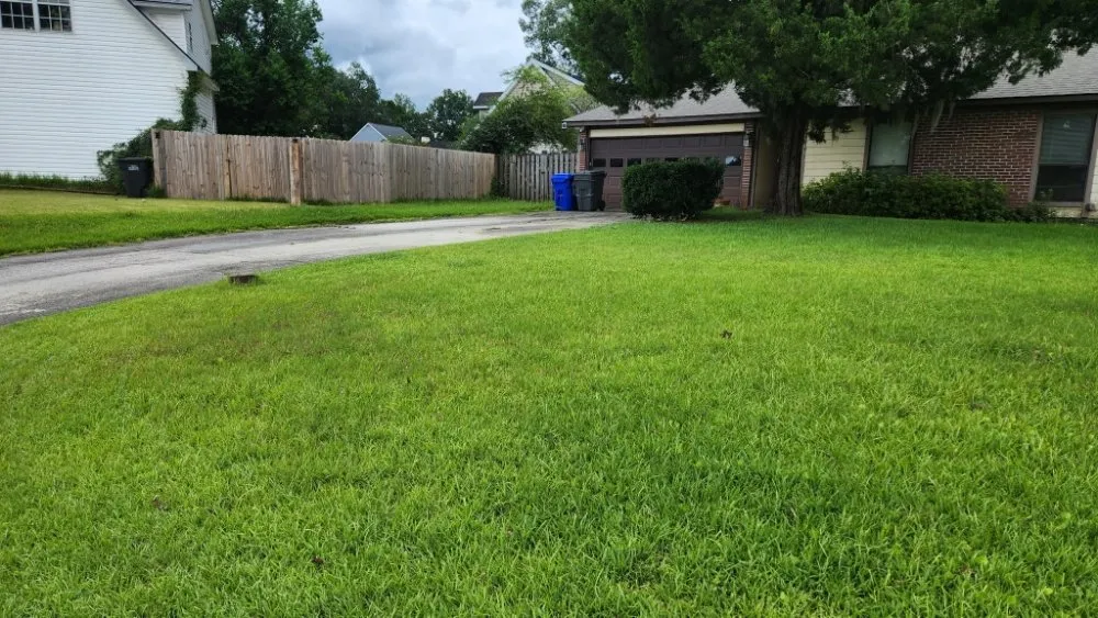 Trusted landscape design experts serving Charleston, SC - Clean Air Lawn Care