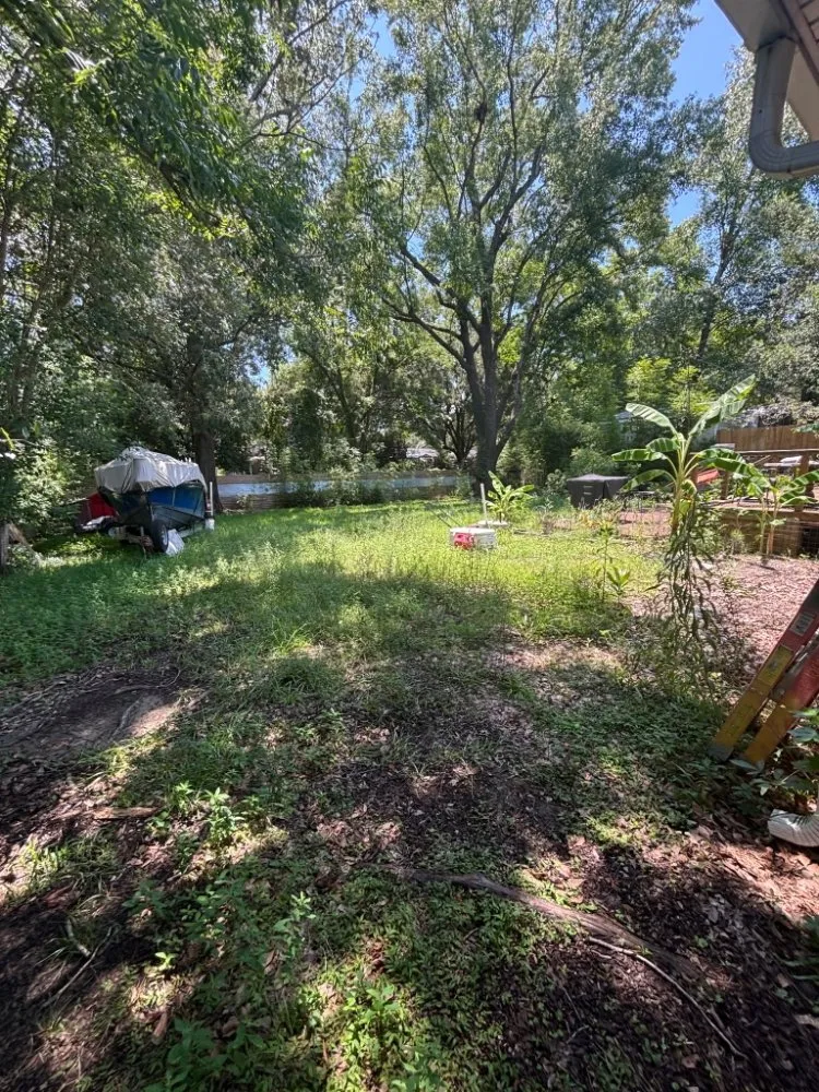 Custom yard cleanup service in Charleston, SC by Clean Air Lawn Care