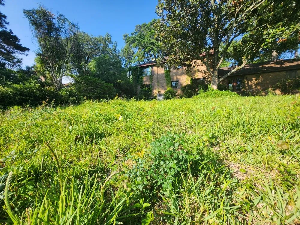 Trusted lawn mowing service in Charleston, SC by Clean Air Lawn Care