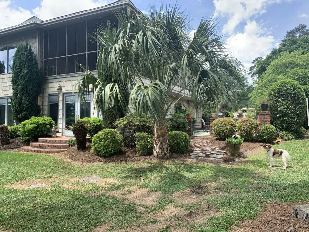 Professional lawn care service experts serving Chapin, SC - Clean Air Lawn Care Columbia