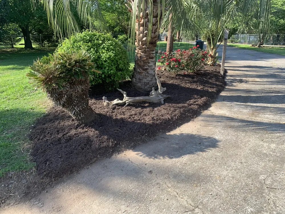 Professional lawn care service in Chapin, SC by Clean Air Lawn Care Columbia