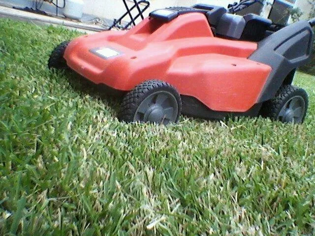 Trusted landscaping services for residential properties across Corpus Christi, TX - Clean Air Lawn Care