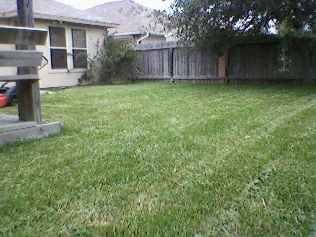 Custom yard cleanup service for residential properties across Corpus Christi, TX - Clean Air Lawn Care