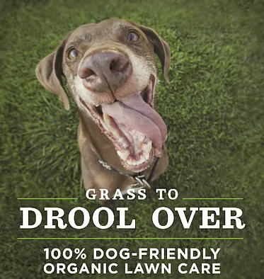 Affordable lawn care service in Daleville, AL - Clean Air Lawn Care