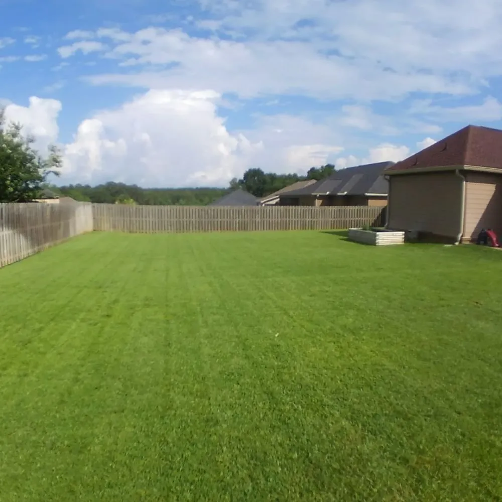Expert lawn mowing service experts serving Daleville, AL - Clean Air Lawn Care