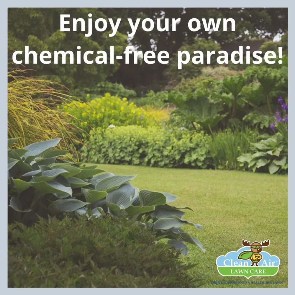 Local outdoor landscaping for outdoor upgrades in Daleville, AL by Clean Air Lawn Care