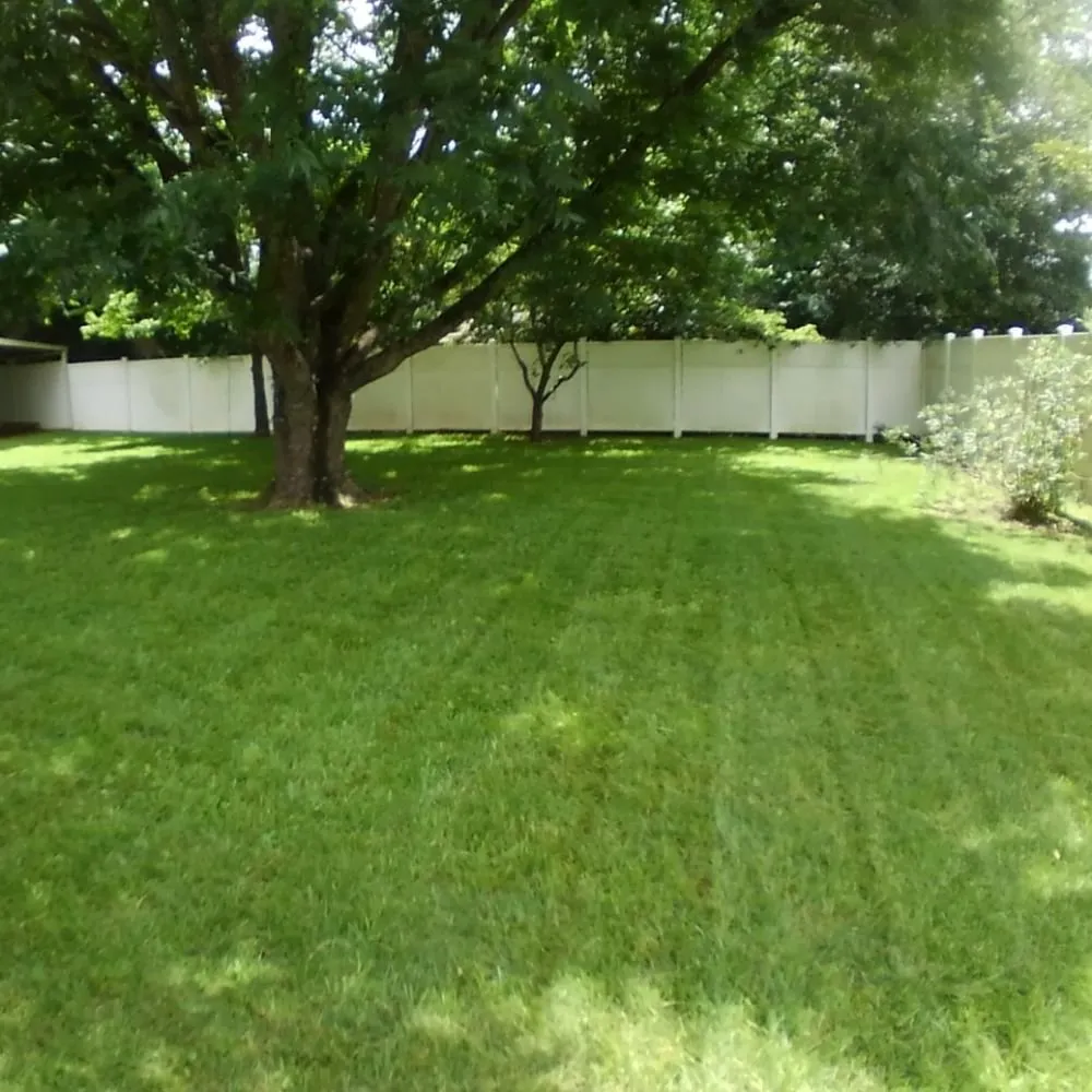 Expert yard cleanup service experts serving Daleville, AL - Clean Air Lawn Care