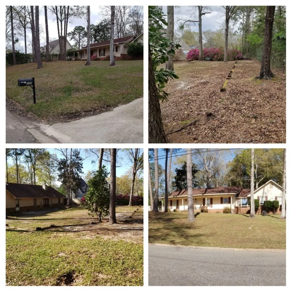Local lawn mowing service with custom design in Daleville, AL by Clean Air Lawn Care