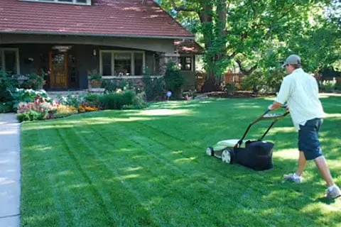 Top-rated garden landscaping in Fort Collins, CO by Clean Air Lawn Care