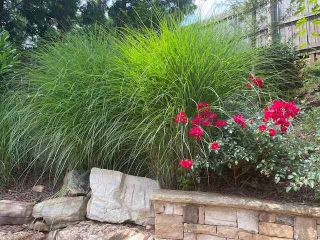 Local yard maintenance in Marietta, GA - Clean Air Lawn Care Marietta