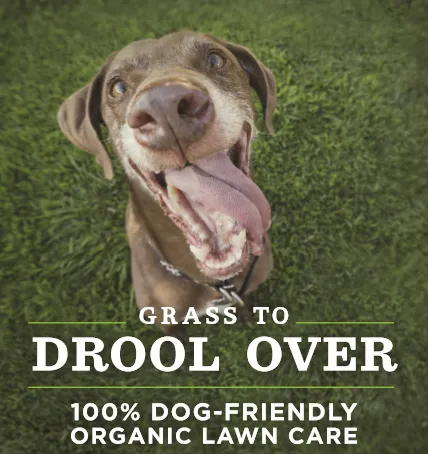 Expert yard maintenance in Marietta, GA by Clean Air Lawn Care Marietta