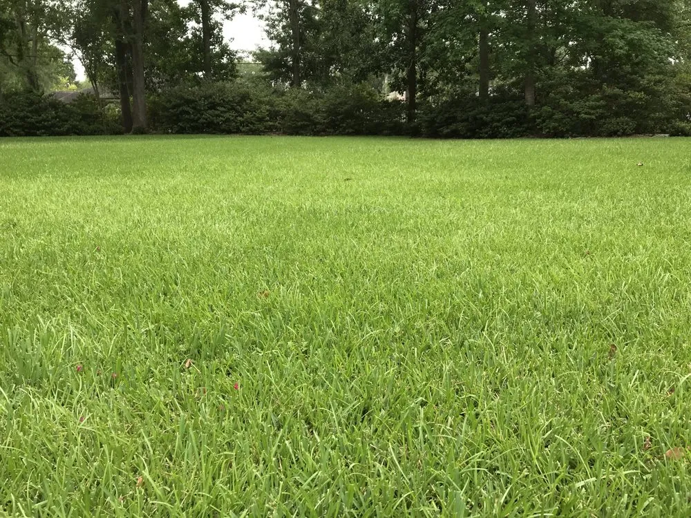Custom landscape installation for residential properties across New Orleans, LA - Clean Air Lawn Care of New Orleans