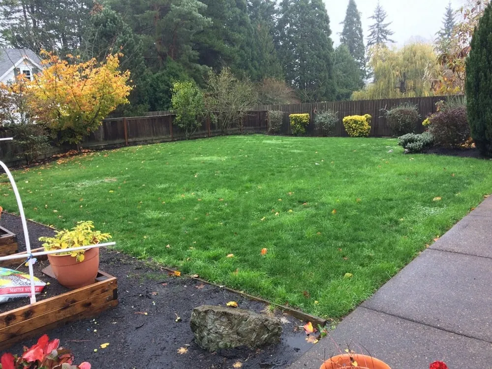 Affordable outdoor landscaping in Portland, OR by Clean Air Lawn Care of Portland