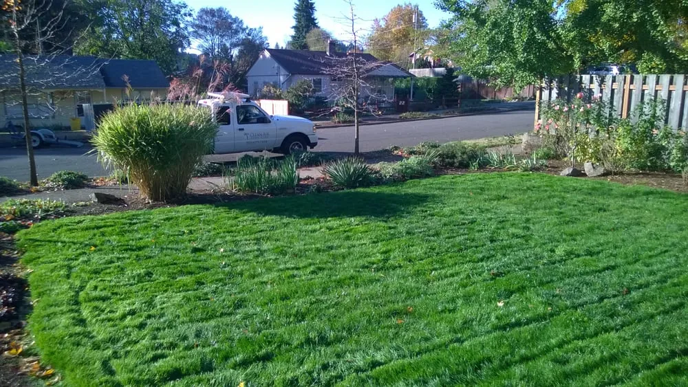 Reliable lawn care service experts serving Portland, OR - Clean Air Lawn Care of Portland
