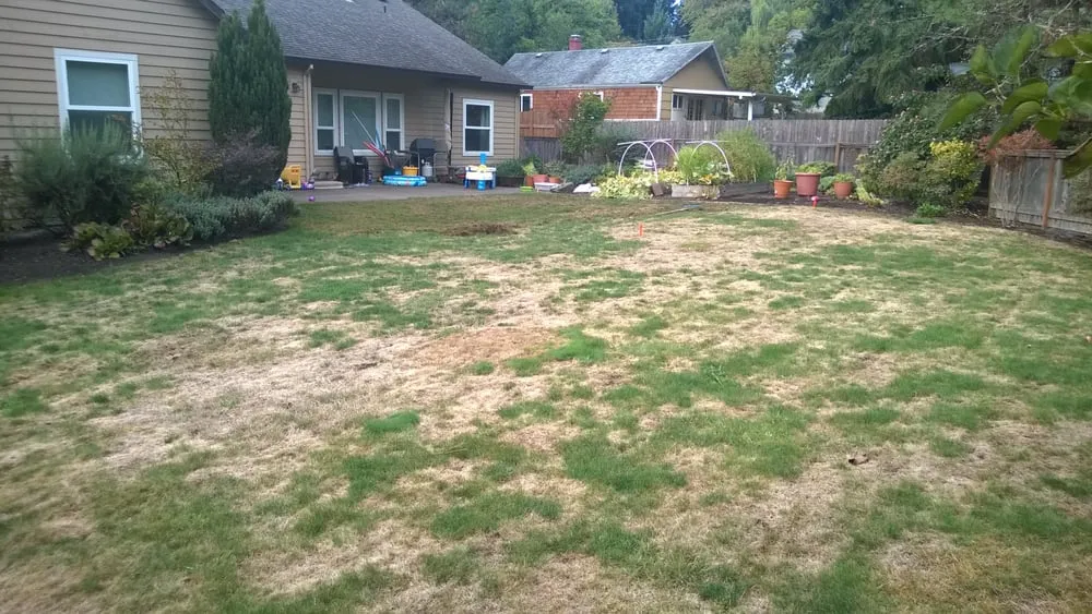 Custom lawn care service experts serving Portland, OR - Clean Air Lawn Care of Portland