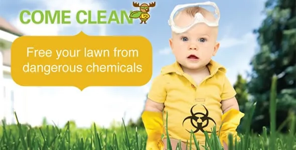 Local landscape installation experts serving Philadelphia, PA - Clean Air Lawn Care Philadelphia