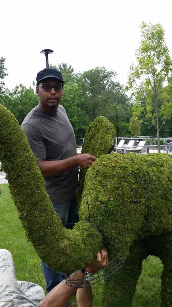 Custom yard cleanup service in Philadelphia, PA - Clean Air Lawn Care Philadelphia