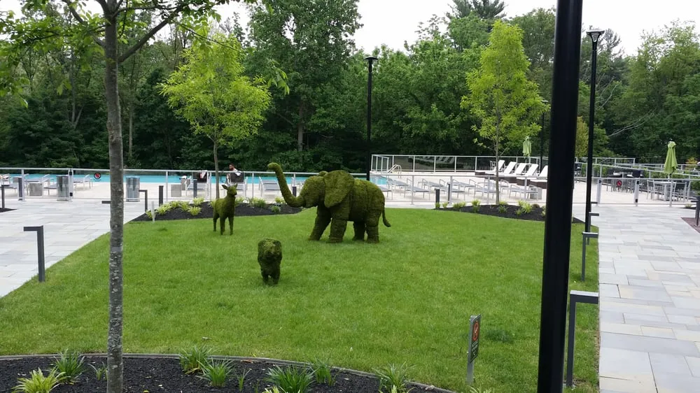 Trusted lawn care service for outdoor upgrades in Philadelphia, PA by Clean Air Lawn Care Philadelphia