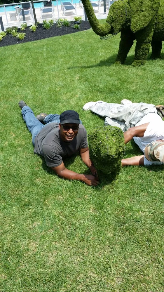 Local yard maintenance in Philadelphia, PA by Clean Air Lawn Care Philadelphia