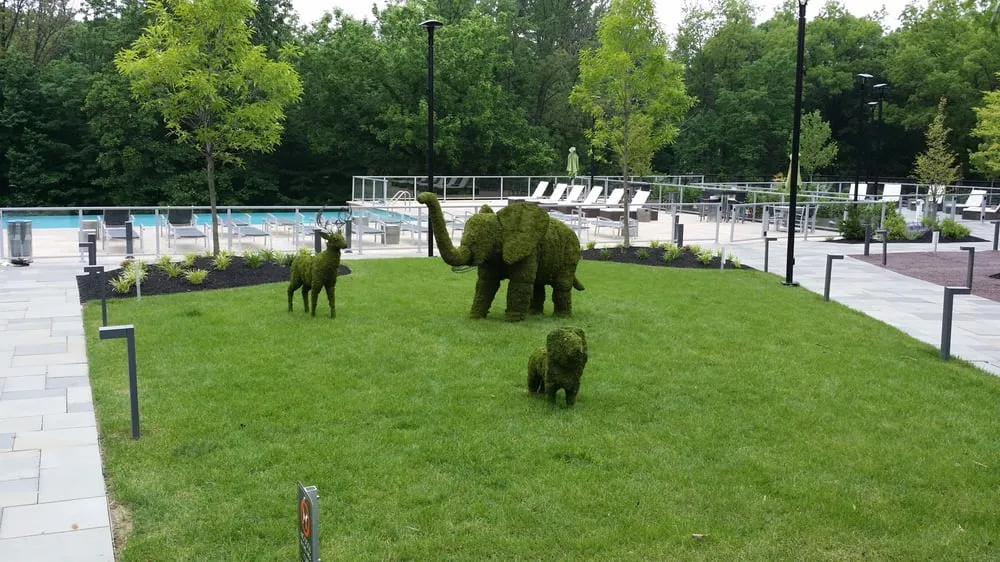 Local outdoor landscaping experts serving Philadelphia, PA - Clean Air Lawn Care Philadelphia