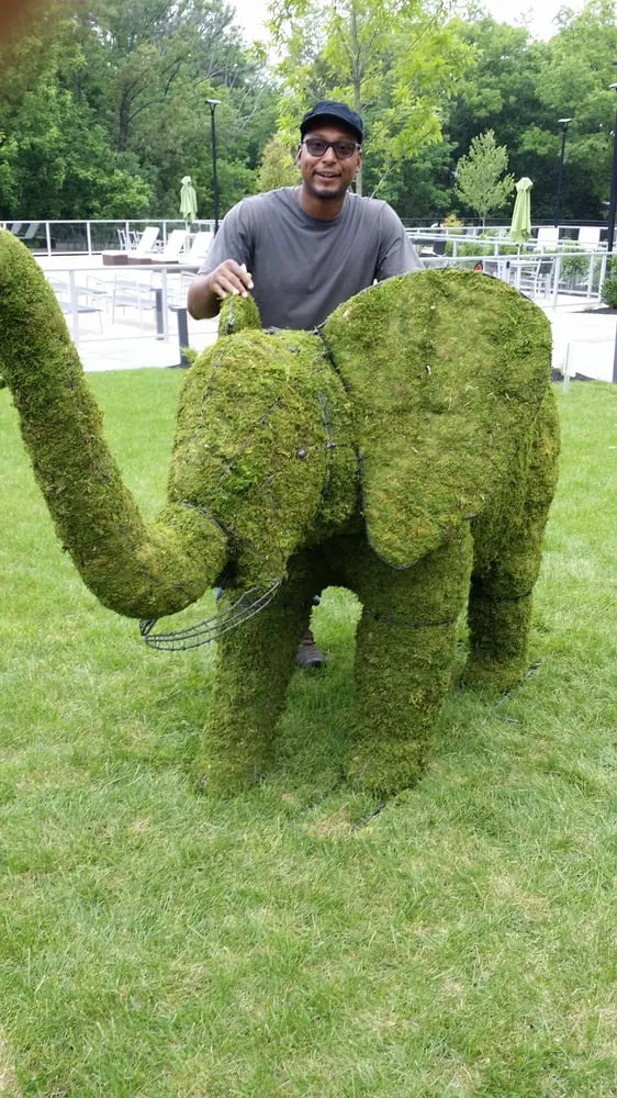 Custom lawn care service in Philadelphia, PA by Clean Air Lawn Care Philadelphia