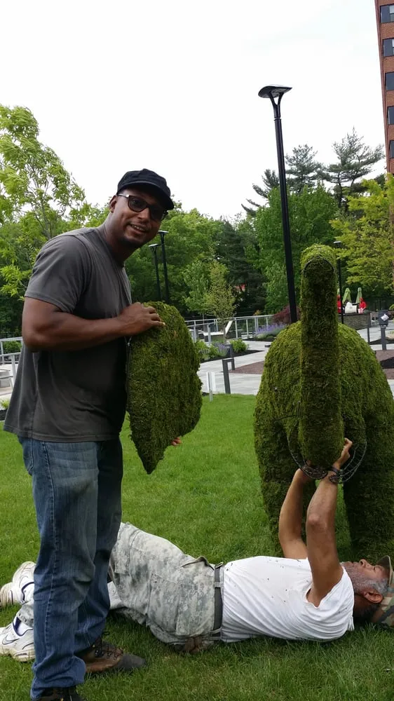 Professional landscaping services for year-round maintenance across Philadelphia, PA - Clean Air Lawn Care Philadelphia