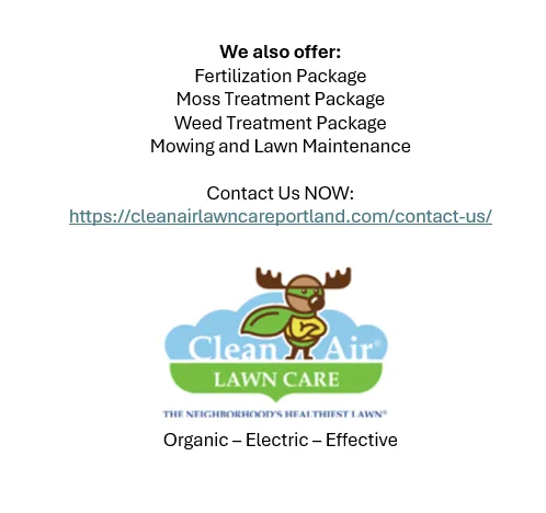 Affordable landscape installation for outdoor upgrades across Portland, OR - Clean Air Lawn Care