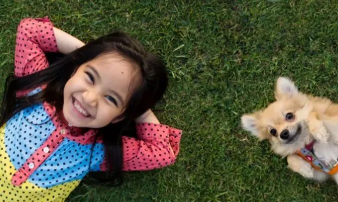 Custom landscaping services in Portland, OR by Clean Air Lawn Care