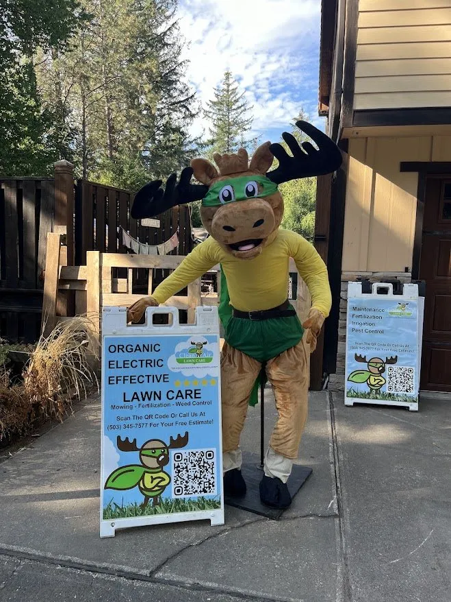 Expert outdoor landscaping in Portland, OR - Clean Air Lawn Care