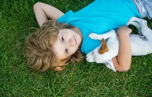 Affordable landscape design for homes in Portland, OR by Clean Air Lawn Care