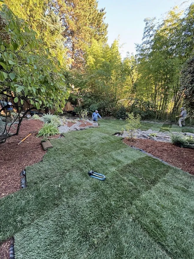 Affordable yard maintenance experts serving Portland, OR - Clean Air Lawn Care