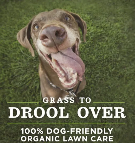 Custom outdoor landscaping experts serving Portland, OR - Clean Air Lawn Care